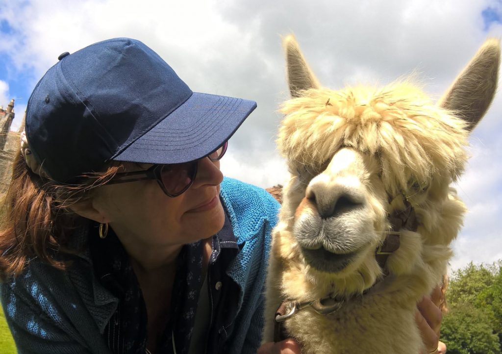 Miss Windsor: My culinary collaborator - Mrs Simkins enjoys a jolly old 'chin way' with Mr Alpaca! 